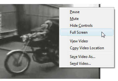 Native Video Full Screen Option